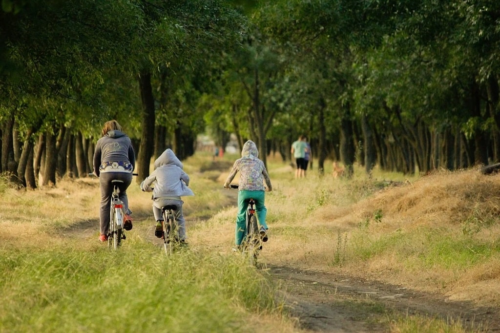 Aventures en pleine nature&nbsp;: séjours d&rsquo;été pour explorateurs en herbe